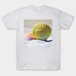 Summer Seashells Shore Photography T-Shirt